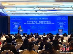 2025中国（广西）—东盟智库对话论坛在南宁举行